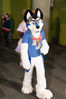 Filename=DSC_8336.jpg
Filesize=2055KiB
Dimensions=4912x7360
Date added=Feb 01, 2015 DSC_8336.jpg