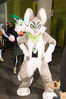 Filename=DSC_8354.jpg
Filesize=2004KiB
Dimensions=4912x7360
Date added=Feb 01, 2015 DSC_8354.jpg