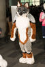 Filename=DSC_8453.jpg
Filesize=2012KiB
Dimensions=4912x7360
Date added=Feb 01, 2015 DSC_8453.jpg