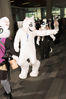 Filename=DSC_8559.jpg
Filesize=2207KiB
Dimensions=4912x7360
Date added=Feb 01, 2015 DSC_8559.jpg