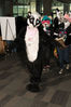 Filename=DSC_8562.jpg
Filesize=2422KiB
Dimensions=4912x7360
Date added=Feb 01, 2015 DSC_8562.jpg