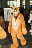 Filename=DSC_8636.jpg
Filesize=2065KiB
Dimensions=4912x7360
Date added=Feb 01, 2015 DSC_8636.jpg