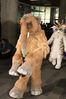 Filename=DSC_8641.jpg
Filesize=2418KiB
Dimensions=4912x7360
Date added=Feb 01, 2015 DSC_8641.jpg