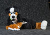 Filename=DSC_6060.jpg
Filesize=1350KiB
Dimensions=5823x4101
Date added=Jan 31, 2015 DSC_6060.jpg