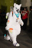 Filename=DSC_1107.jpg
Filesize=4880KiB
Dimensions=4912x7360
Date added=Feb 03, 2016 DSC_1107.jpg