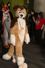Filename=DSC_1111.jpg
Filesize=5961KiB
Dimensions=4912x7360
Date added=Feb 03, 2016 DSC_1111.jpg