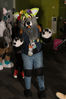 Filename=DSC_1117.jpg
Filesize=5799KiB
Dimensions=4912x7360
Date added=Feb 03, 2016 DSC_1117.jpg