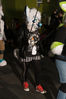 Filename=DSC_1118.jpg
Filesize=4716KiB
Dimensions=4912x7360
Date added=Feb 03, 2016 DSC_1118.jpg