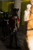 Filename=DSC_1121.jpg
Filesize=4601KiB
Dimensions=4912x7360
Date added=Feb 03, 2016 DSC_1121.jpg
