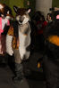 Filename=DSC_1130.jpg
Filesize=5231KiB
Dimensions=4912x7360
Date added=Feb 03, 2016 DSC_1130.jpg