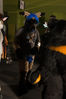 Filename=DSC_1131.jpg
Filesize=5136KiB
Dimensions=4912x7360
Date added=Feb 03, 2016 DSC_1131.jpg