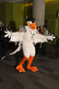 Filename=DSC_1136.jpg
Filesize=5787KiB
Dimensions=4912x7360
Date added=Feb 03, 2016 DSC_1136.jpg