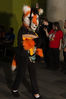 DSC_1139.jpg