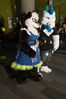 Filename=DSC_1148.jpg
Filesize=6872KiB
Dimensions=4912x7360
Date added=Feb 03, 2016 DSC_1148.jpg