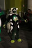 Filename=DSC_1149.jpg
Filesize=5212KiB
Dimensions=4912x7360
Date added=Feb 03, 2016 DSC_1149.jpg