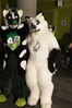 Filename=DSC_1150.jpg
Filesize=5575KiB
Dimensions=4912x7360
Date added=Feb 03, 2016 DSC_1150.jpg