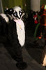 Filename=DSC_1153.jpg
Filesize=5311KiB
Dimensions=4912x7360
Date added=Feb 03, 2016 DSC_1153.jpg