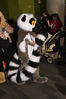 Filename=DSC_1233.jpg
Filesize=5869KiB
Dimensions=4912x7360
Date added=Feb 03, 2016 DSC_1233.jpg