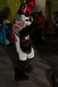 Filename=DSC_1242.jpg
Filesize=5610KiB
Dimensions=4912x7360
Date added=Feb 03, 2016 DSC_1242.jpg