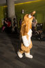 Filename=DSC_1368.jpg
Filesize=6616KiB
Dimensions=4912x7360
Date added=Feb 03, 2016 DSC_1368.jpg