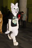 Filename=DSC_1400.jpg
Filesize=4998KiB
Dimensions=4912x7360
Date added=Feb 03, 2016 DSC_1400.jpg