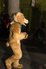 Filename=DSC_1401.jpg
Filesize=5433KiB
Dimensions=4912x7360
Date added=Feb 03, 2016 DSC_1401.jpg