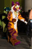 Filename=DSC_1434.jpg
Filesize=5973KiB
Dimensions=4912x7360
Date added=Feb 03, 2016 DSC_1434.jpg