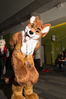 Filename=DSC_1477.jpg
Filesize=5957KiB
Dimensions=4912x7360
Date added=Feb 03, 2016 DSC_1477.jpg