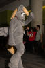 Filename=DSC_1491.jpg
Filesize=5010KiB
Dimensions=4912x7360
Date added=Feb 03, 2016 DSC_1491.jpg