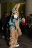 Filename=DSC_1497.jpg
Filesize=4735KiB
Dimensions=4912x7360
Date added=Feb 03, 2016 DSC_1497.jpg