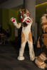 Filename=DSC_1571.jpg
Filesize=4266KiB
Dimensions=4912x7360
Date added=Feb 03, 2016 DSC_1571.jpg