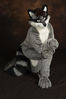 Filename=DSC_0763.jpg
Filesize=5358KiB
Dimensions=4912x7360
Date added=Feb 03, 2016 DSC_0763.jpg