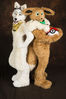 Filename=DSC_1851.jpg
Filesize=4733KiB
Dimensions=4912x7360
Date added=Feb 03, 2016 DSC_1851.jpg