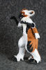 Filename=DSC_7551.jpg
Filesize=5343KiB
Dimensions=4912x7360
Date added=Feb 03, 2016 DSC_7551.jpg
