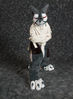 Filename=DSC_7596.jpg
Filesize=5702KiB
Dimensions=4912x6646
Date added=Feb 03, 2016 DSC_7596.jpg