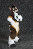 Filename=DSC_7654.jpg
Filesize=5667KiB
Dimensions=4912x7360
Date added=Feb 03, 2016 DSC_7654.jpg
