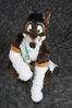 Filename=DSC_7657.jpg
Filesize=5469KiB
Dimensions=4912x7360
Date added=Feb 03, 2016 DSC_7657.jpg