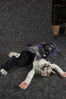 Filename=DSC_8447.jpg
Filesize=6616KiB
Dimensions=4912x7360
Date added=Feb 03, 2016 DSC_8447.jpg