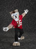 Filename=DSC_8467.jpg
Filesize=4942KiB
Dimensions=4912x6630
Date added=Feb 03, 2016 DSC_8467.jpg