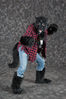 Filename=DSC_8482.jpg
Filesize=6527KiB
Dimensions=4912x7360
Date added=Feb 03, 2016 DSC_8482.jpg