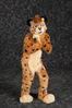 Filename=DSC_8557.jpg
Filesize=4999KiB
Dimensions=4912x7360
Date added=Feb 03, 2016 DSC_8557.jpg