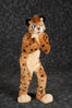 Filename=DSC_8558.jpg
Filesize=5081KiB
Dimensions=4912x7360
Date added=Feb 03, 2016 DSC_8558.jpg