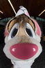 Filename=DSC_8579.jpg
Filesize=4562KiB
Dimensions=4912x7360
Date added=Feb 03, 2016 DSC_8579.jpg