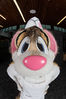 Filename=DSC_8581.jpg
Filesize=3634KiB
Dimensions=4912x7360
Date added=Feb 03, 2016 DSC_8581.jpg