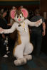 Filename=DSC_3917.jpg
Filesize=4904KiB
Dimensions=4912x7360
Date added=Jan 28, 2017 DSC_3917.jpg