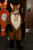 Filename=DSC_3918.jpg
Filesize=5095KiB
Dimensions=4912x7360
Date added=Jan 28, 2017 DSC_3918.jpg