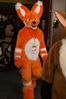 Filename=DSC_3919.jpg
Filesize=5269KiB
Dimensions=4912x7360
Date added=Jan 28, 2017 DSC_3919.jpg