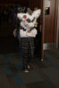 Filename=DSC_3936.jpg
Filesize=5123KiB
Dimensions=4912x7360
Date added=Jan 28, 2017 DSC_3936.jpg