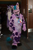 Filename=DSC_3938.jpg
Filesize=5681KiB
Dimensions=4912x7360
Date added=Jan 28, 2017 DSC_3938.jpg