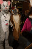 Filename=DSC_4141.jpg
Filesize=5196KiB
Dimensions=4912x7360
Date added=Jan 28, 2017 DSC_4141.jpg